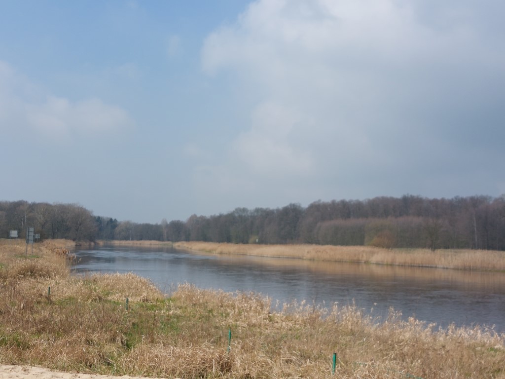 widok krajobrazu rzeki z niebieskim niebem i drzewami w oddali